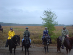 DSC01589.JPG
