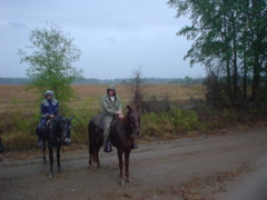 DSC01590.JPG