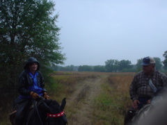 DSC01593.JPG