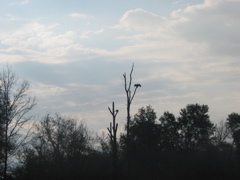 IMG_3834.JPG
