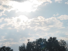 IMG_3835.JPG