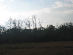IMG_3837.JPG