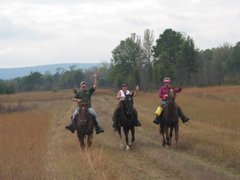 IMG_3841.JPG