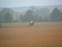 DSCF2698