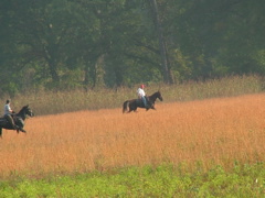 DSCF2702