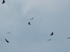 DSCF2714