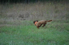 booneville04 077