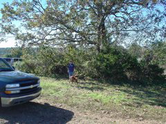 DSC01640.JPG