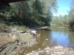 DSC01645.JPG