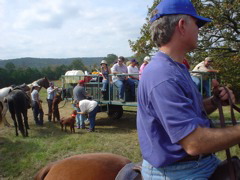 DSC01566.JPG