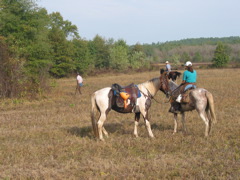 IMG_3792.JPG
