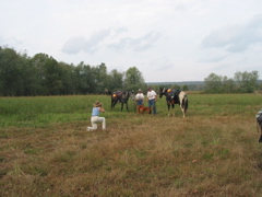 IMG_3796.JPG