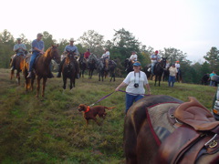  Bringing Glory to the line...