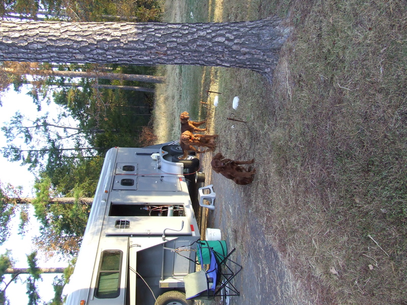 DSCF0047.JPG