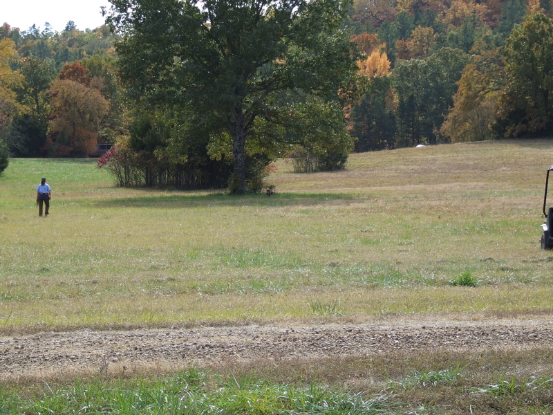 DSCF0049.JPG
