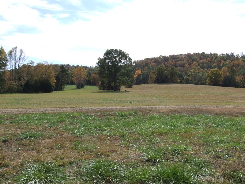 DSCF0055.JPG