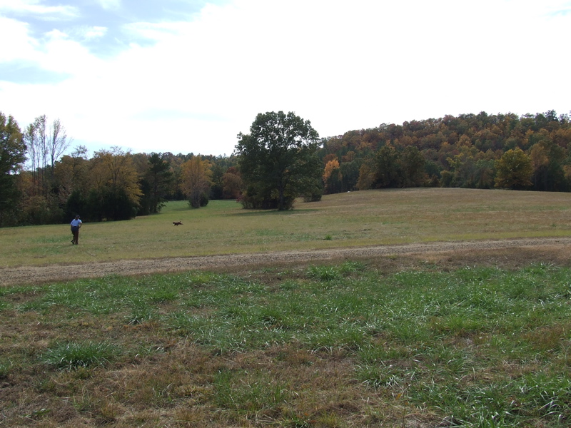 DSCF0056.JPG