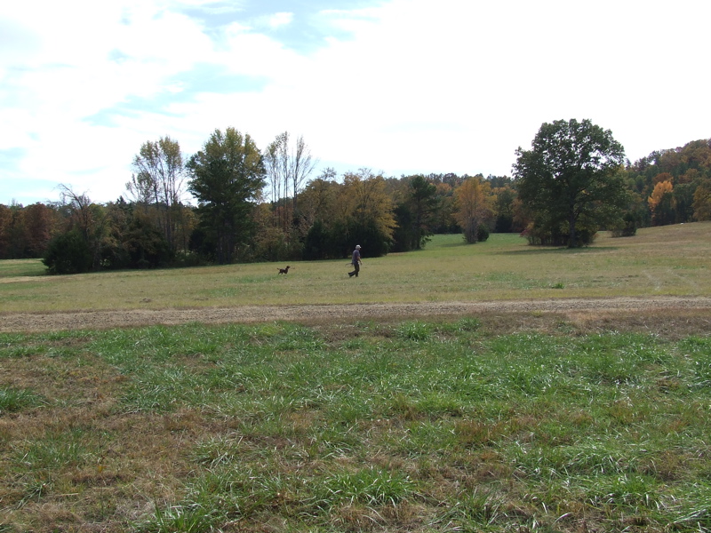 DSCF0059.JPG