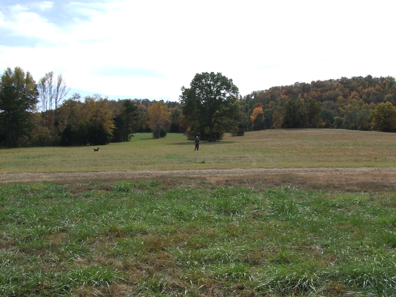 DSCF0060.JPG