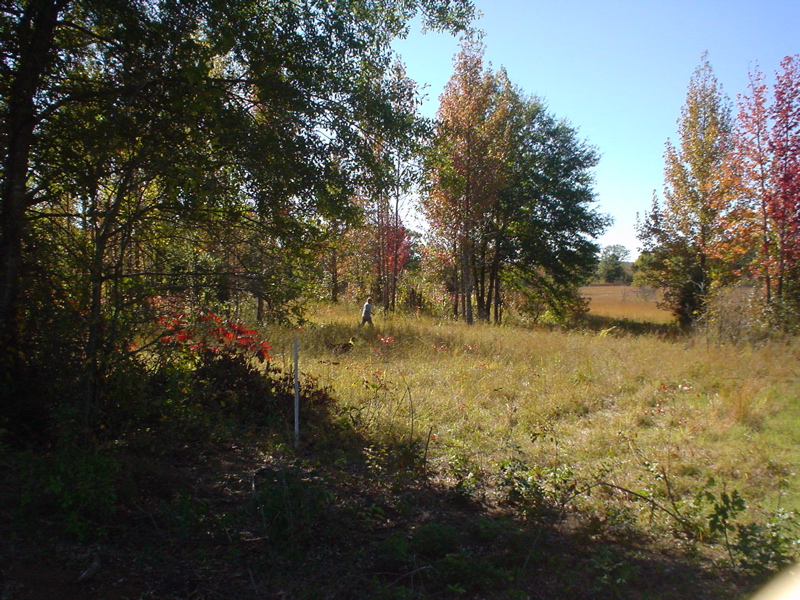DSC03193.JPG