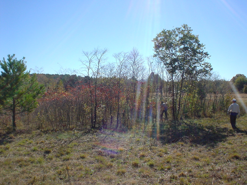 DSC03199.JPG