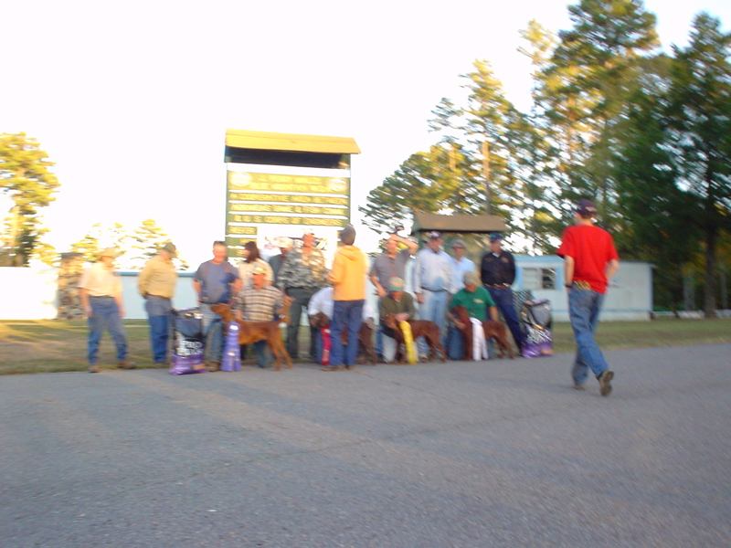 DSC03210.JPG