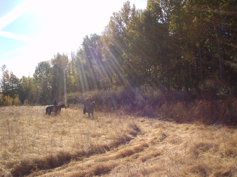 DSC03232.JPG