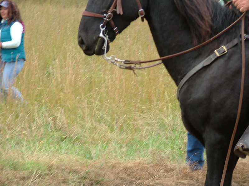 DSCF4839.JPG
