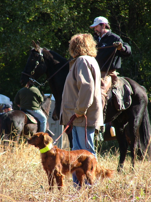 DSCF4903.JPG