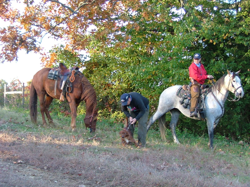 DSCF4938.JPG