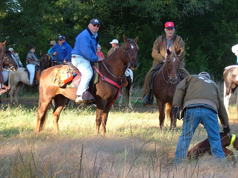 DSCF4951.JPG