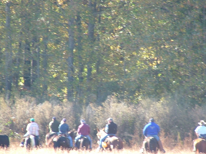 DSCF4967.JPG