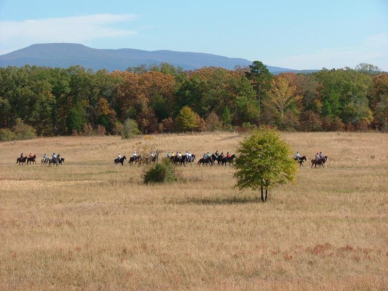 DSCF4985.JPG