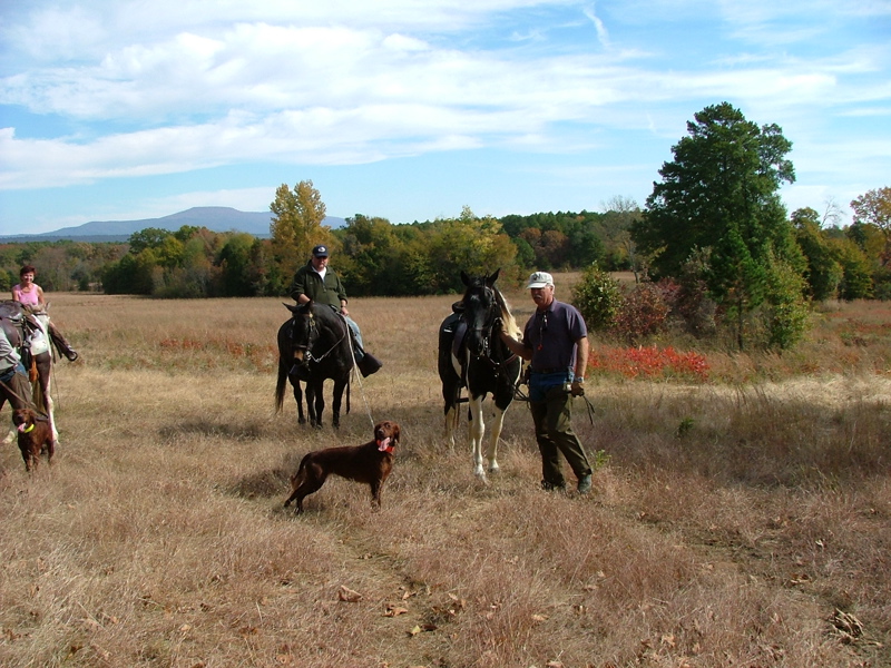 DSCF4987.JPG