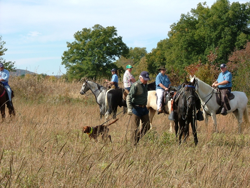 DSCF4990.JPG