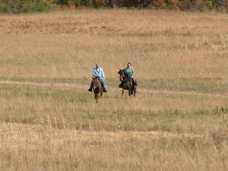 DSCF5000.JPG