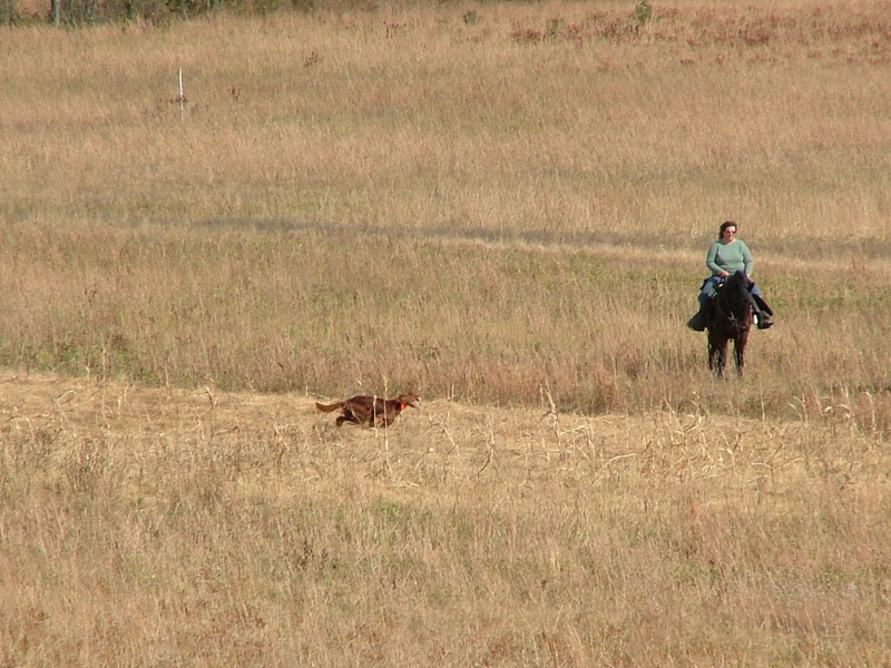 DSCF5002.JPG