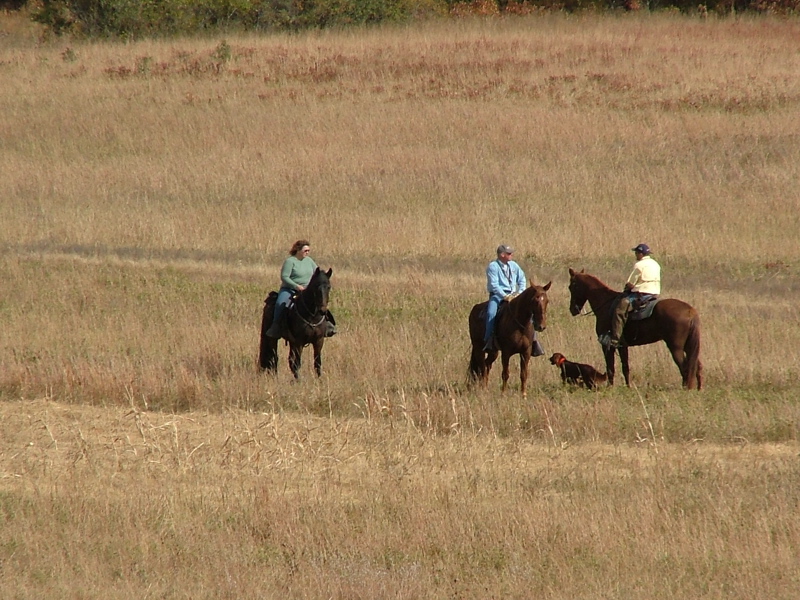 DSCF5003.JPG