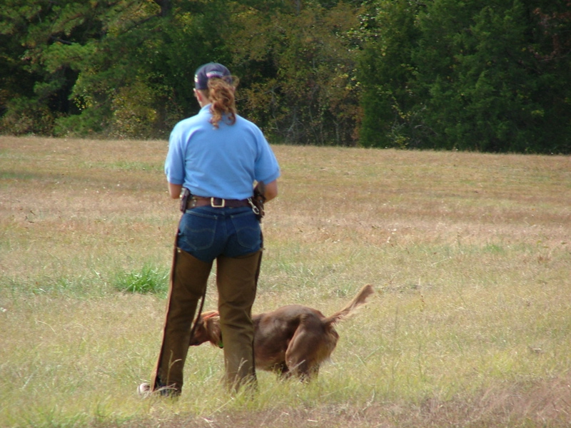 DSCF5008.JPG