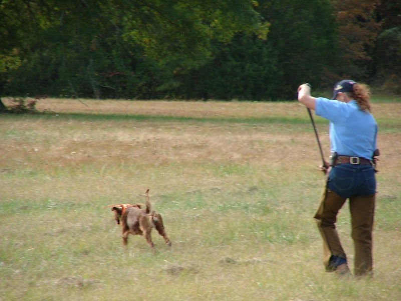DSCF5009.JPG