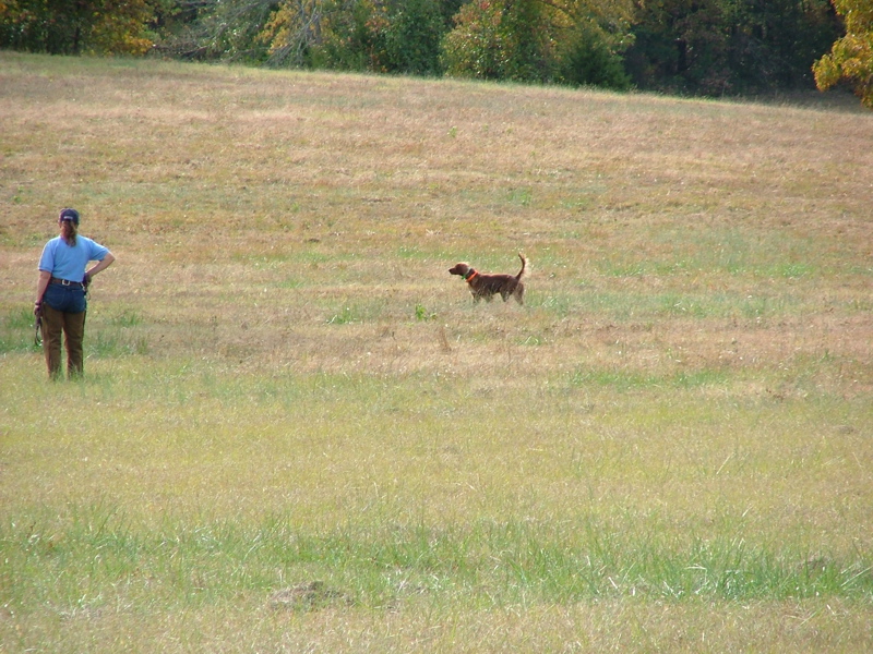 DSCF5010.JPG