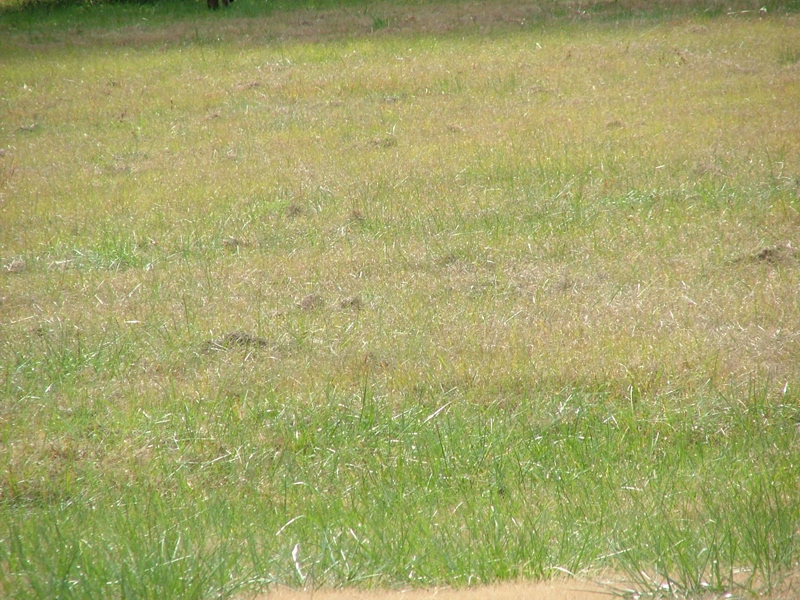 DSCF5016.JPG