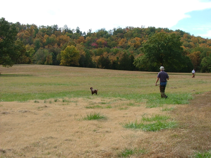 DSCF5018.JPG