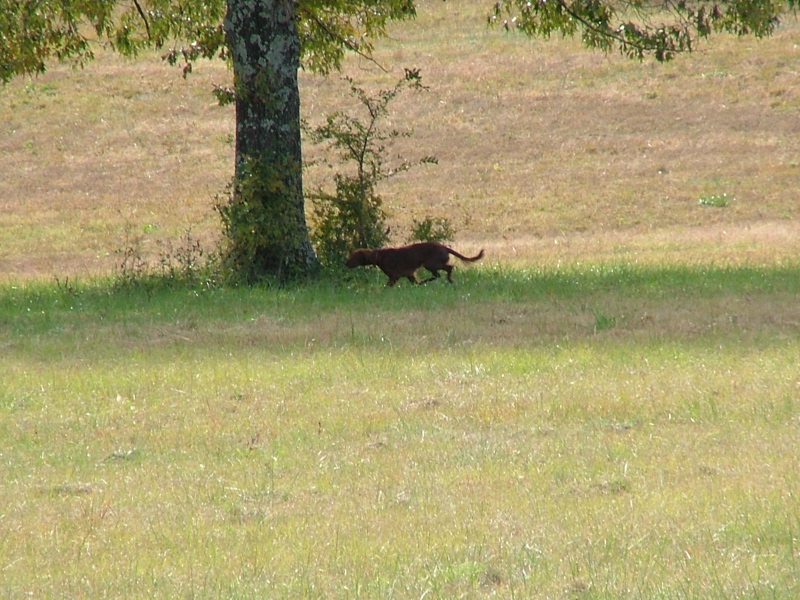 DSCF5019.JPG