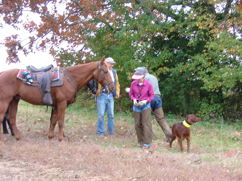 DSCF5062.JPG