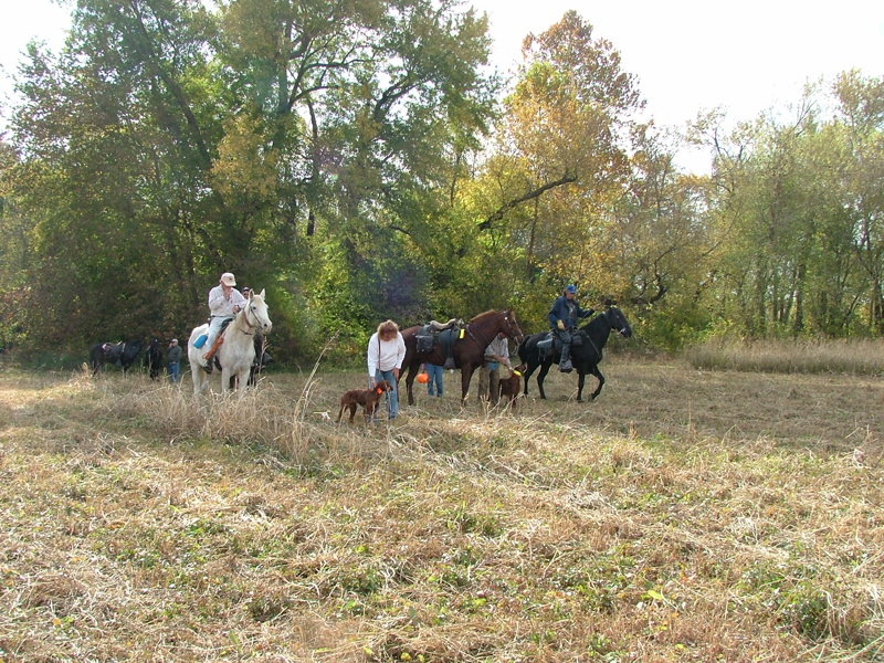 DSCF5086.JPG