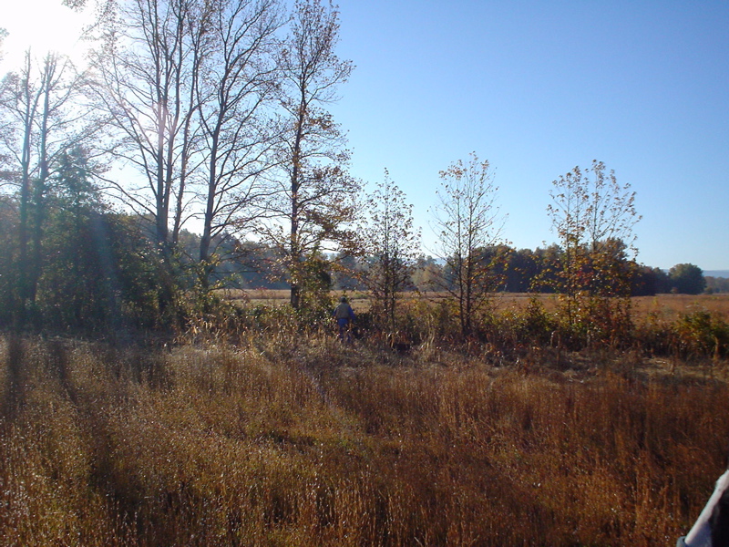 DSC03317.JPG