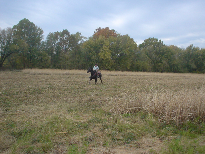DSC03246.JPG