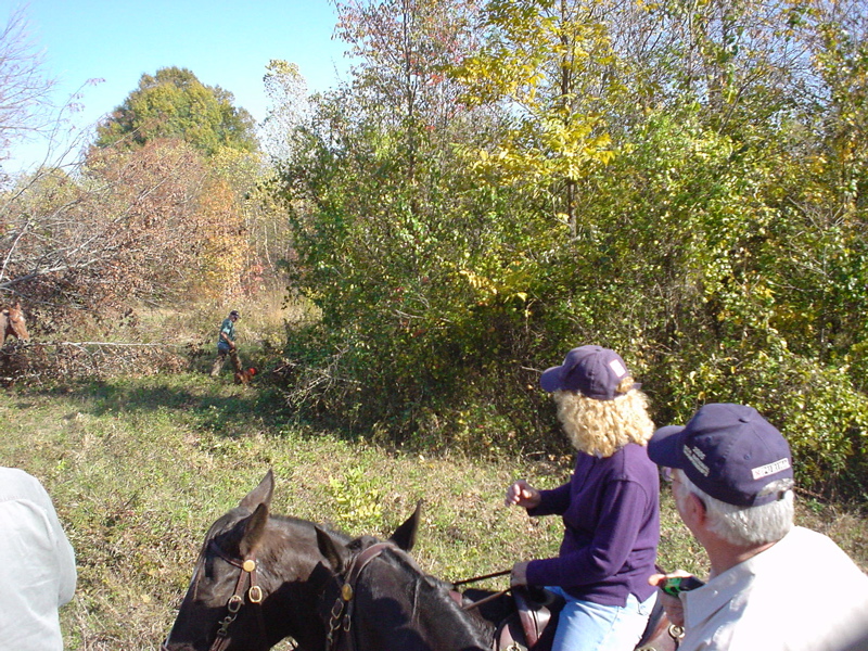 DSC03251.JPG