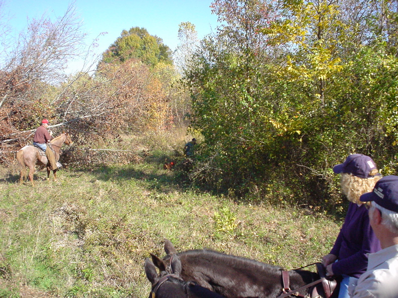 DSC03252.JPG